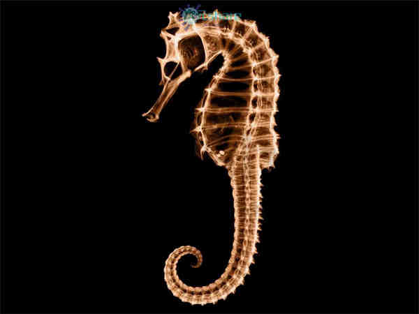 透视图 （80张）阿里云盘下载-次元share