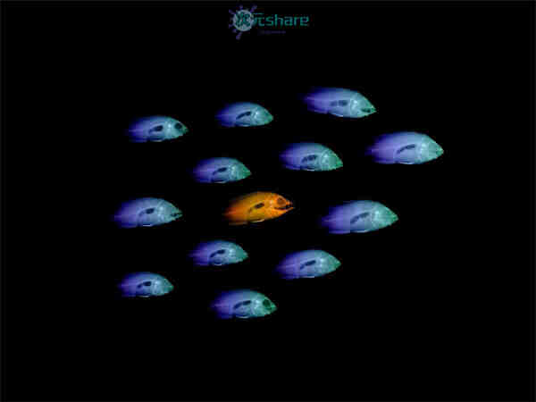 透视图 （80张）阿里云盘下载-次元share