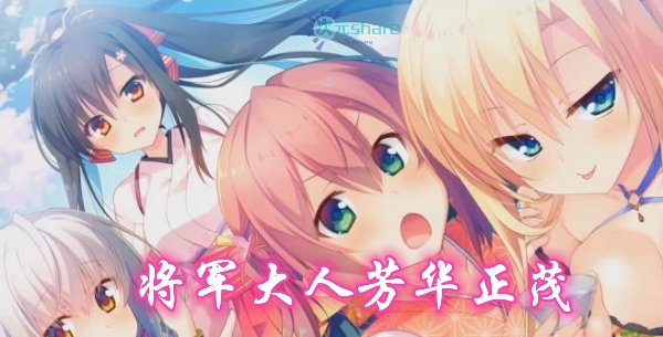 将军大人芳华正茂网盘下载-次元share 将军大人芳华正茂网盘下载-次元share