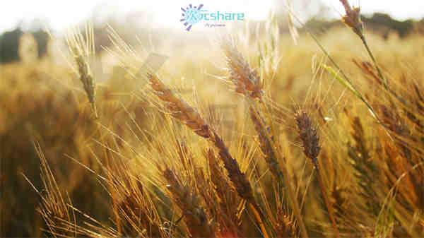 风景超清（2000张）阿里云盘下载-次元share