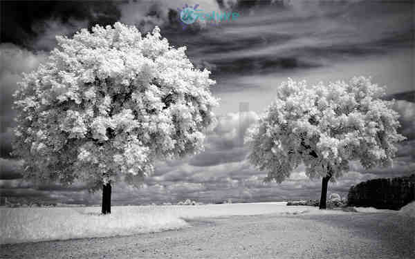 风景大片2k，4k（2000张）阿里云盘下载-次元share