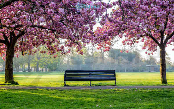 风景大片2k，4k（2000张）阿里云盘下载