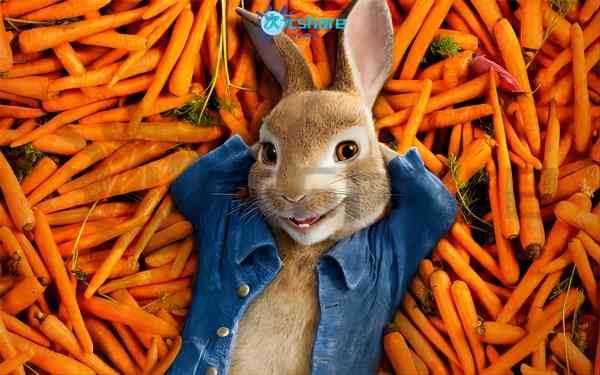 动画电影电视剧等4K壁纸（1000张）丨漫威、迪士尼、国产电视剧等壁纸阿里云盘下载-次元share