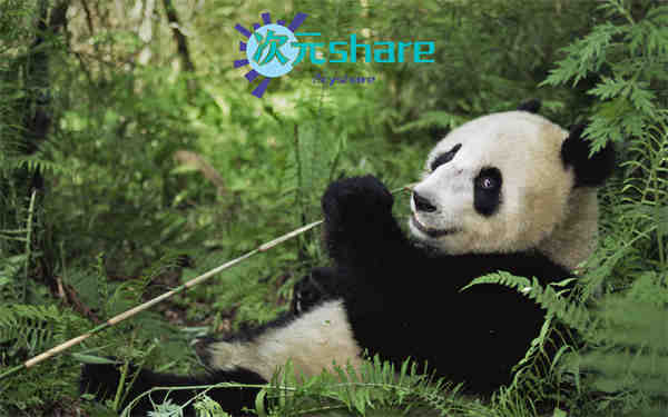 4K壁纸（300张）阿里云盘下载-次元share