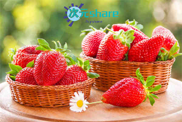 风景电影美女4K壁纸（244张）阿里云盘下载-次元share