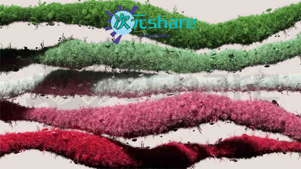 微软4K高清壁纸（48张）阿里云盘下载-次元share