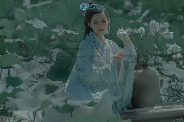 汉服图片（29合集）阿里云盘下载-次元share